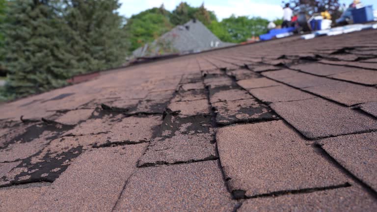 Best Gutter Installation and Repair  in Unadilla, GA
